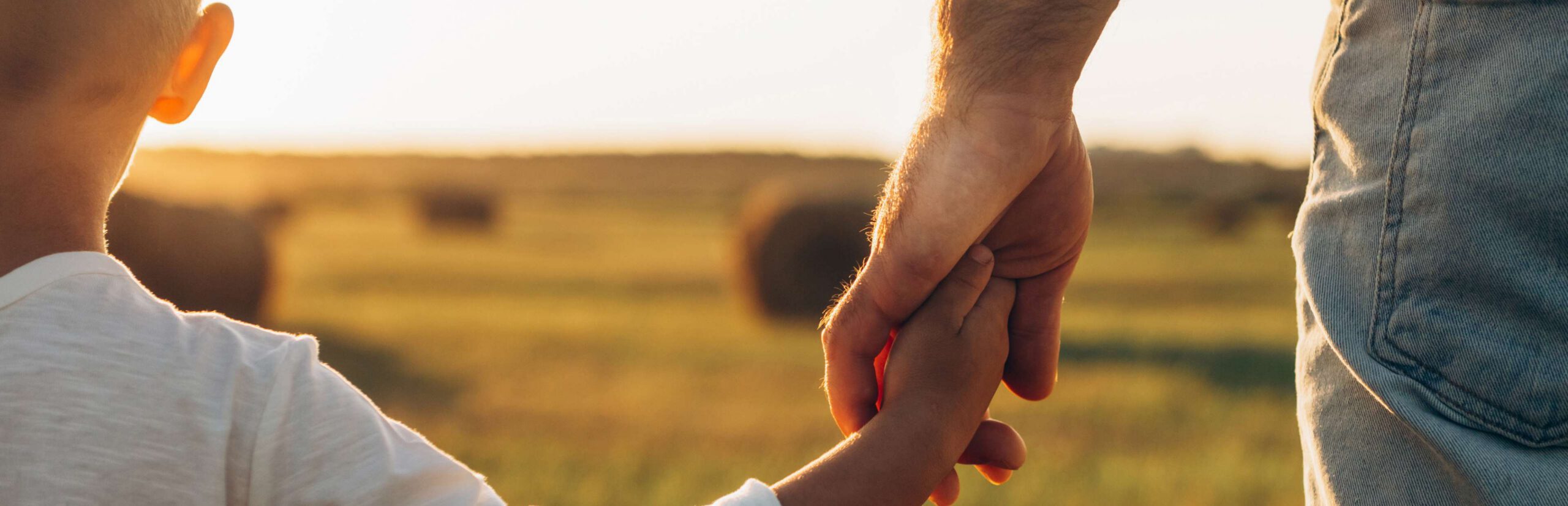 Loyalty Binds Explained: What Children Experience During Separation & Divorce